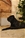 HERO - Triola Cane Corso